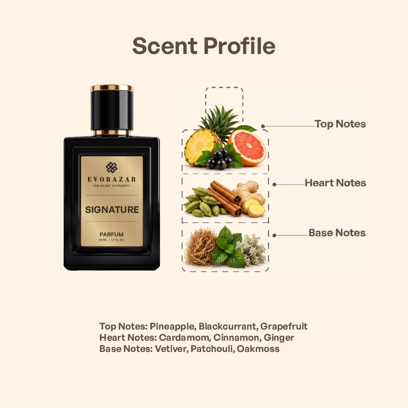 Signature by Evorazar – fragrance notes card: blackcurrant, pineapple, cardamom, vetiver